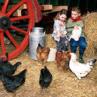 Children feeding chicken and rabbit in barn with red cartwheel and straw