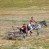 Two young Kyrgyz boys working with horse drawn hay rake in field, Osh Province, Kyrgyzstan
