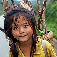Young Lao girls carry brushwood in a basket on their back, Luang Namtha Province, Northern Laos