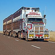 Cattle transport by triple road train fitted with roo bar on the Barkly Highway, Northern Territory, Australia