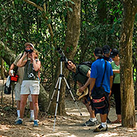 Birdwatchers / Birders with binoculars and telescope, Manuel Antonio NP, Costa Rica