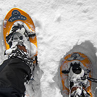 Close up of hiker wearing snowshoes on feet while snowshoeing in deep powder snow in winter