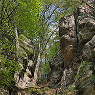 The sandstone rock formation Perekop in Berdorf, Little Switzerland  / Mullerthal, Grand Duchy of Luxembourg