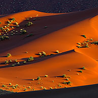 Red sand dunes of the Sossusvlei / Sossus Vlei in the Namib desert at sunset, Namibia